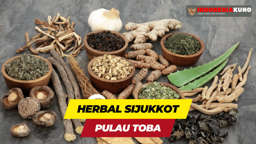 Tanaman Sijukkot, Herbal Kaya Manfaat Dari Pulau Toba