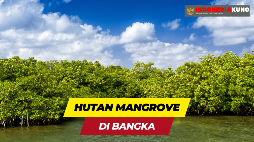 Empat Lapis Hutan Mangrove di Pesisir Bangka
